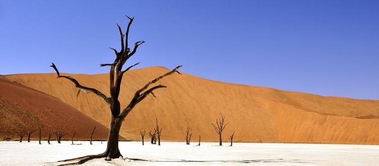 Morte-Funil-de-Vendas.jpg