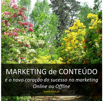 Marketing-Conteúdo-sucesso-variedade